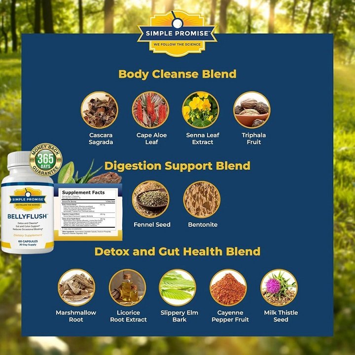 BellyFlush Ingredients